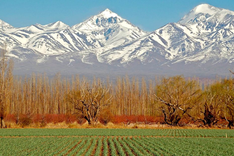 10 Things to Know Before Visiting Mendoza