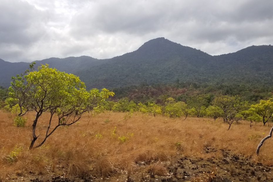 Discover the Hidden Gems of Guyana: A Traveler's Paradise