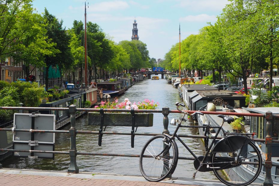 A Taste of Gouda and Beyond: Indulging in the Culinary Delights of the Netherlands