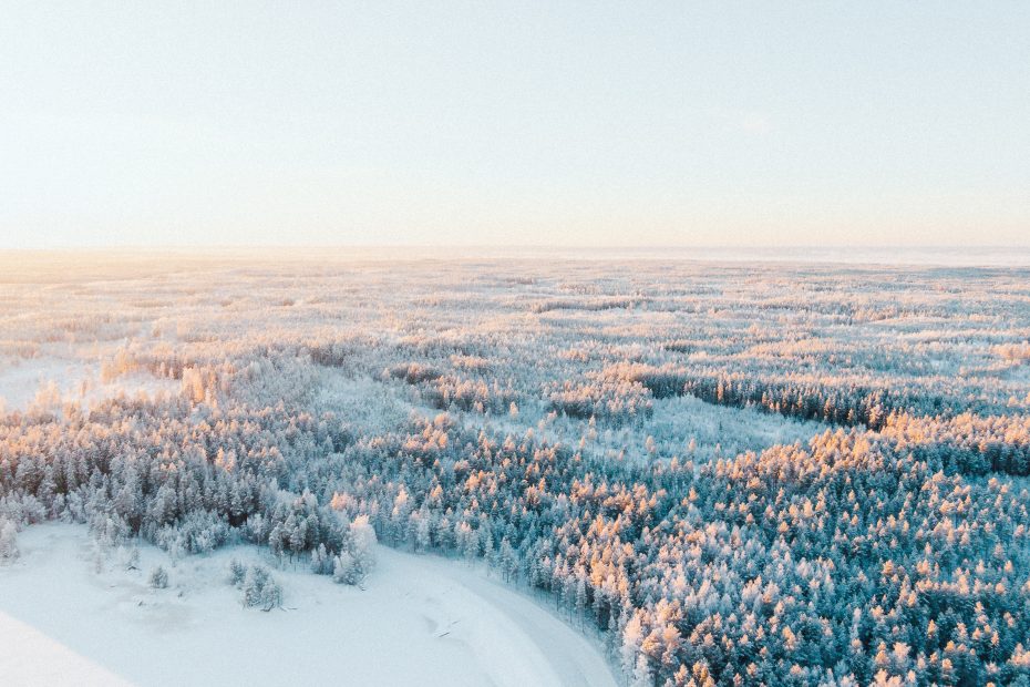 Magical Winter Wonderland: Unraveling the Charms of Finnish Christmas Markets