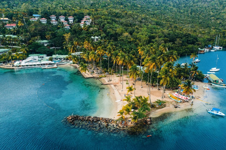 Tropical Delights: A Journey Through Saint Lucia's Natural Beauty