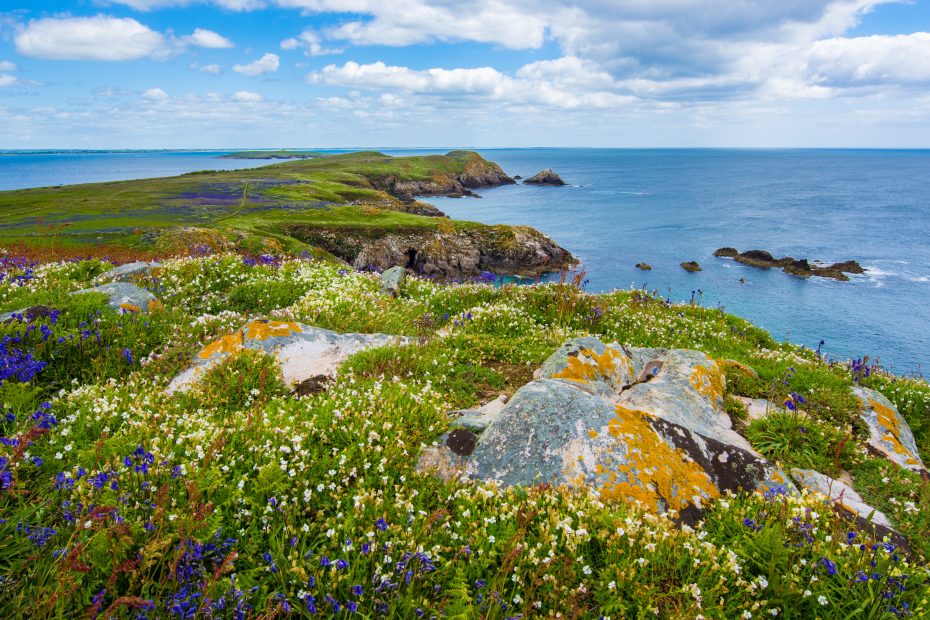 Discovering Ireland's Rich Cultural Heritage: Uncovering the Treasures of the Emerald Isle