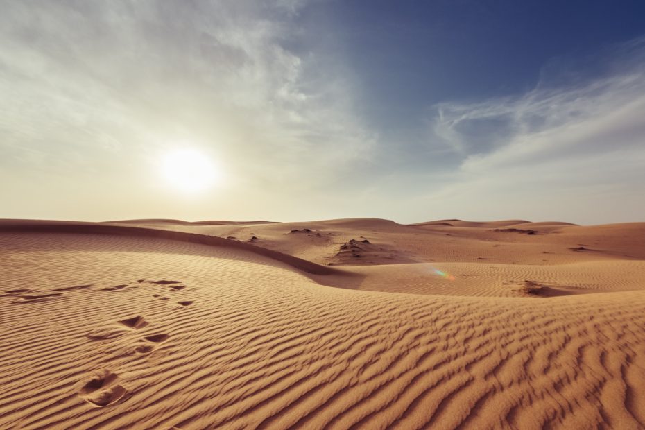 An Oasis in the Desert: Salalah's Marvelous Landscapes