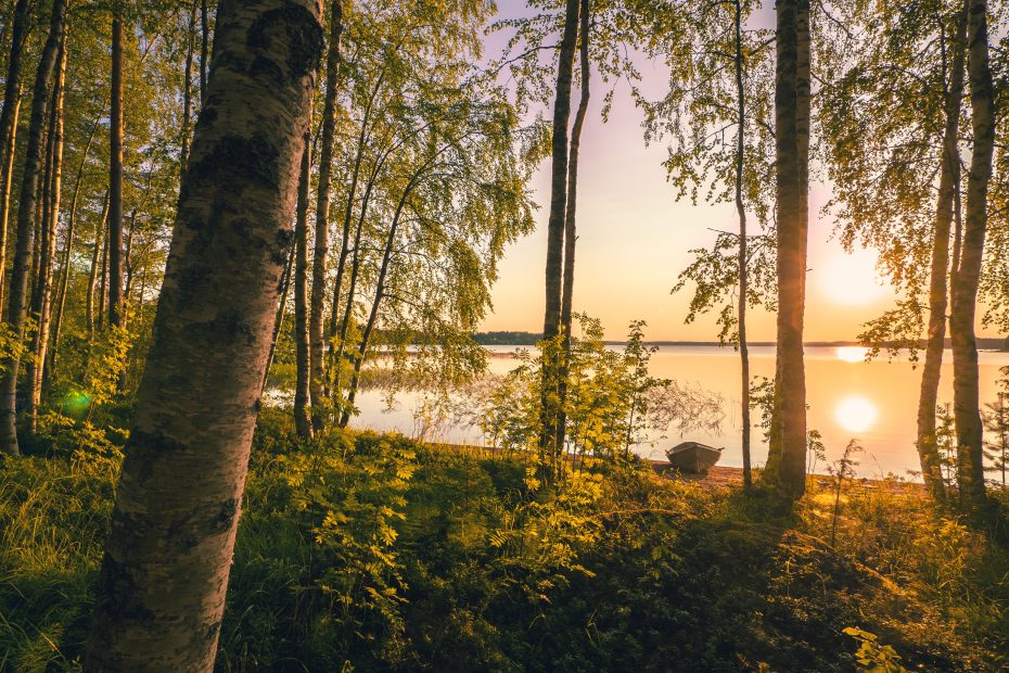 Cruising the Archipelago: Exploring Finland's Stunning Coastal Beauty