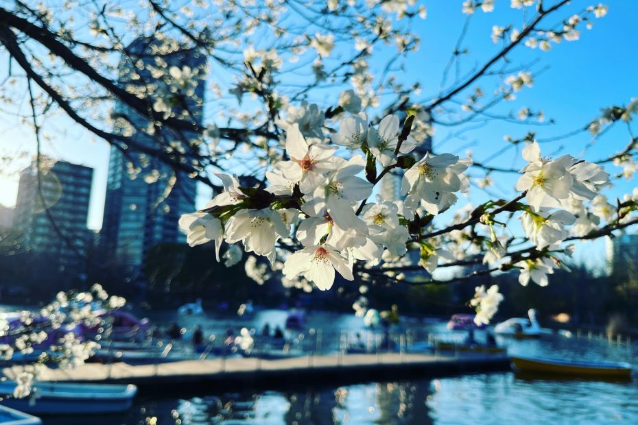 tokyo