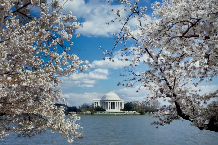 washington d.c.