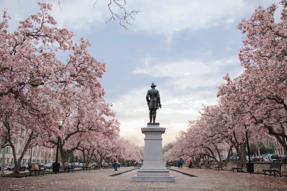 washington d.c.