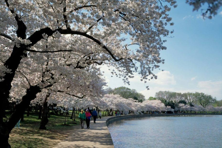 washington d.c.