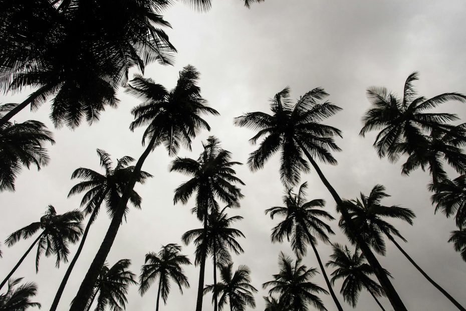 monrovia