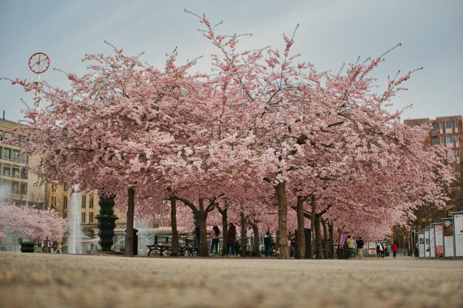 stockholm