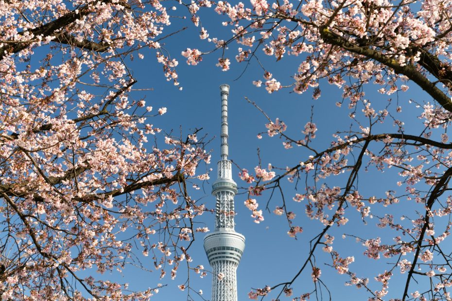 tokyo