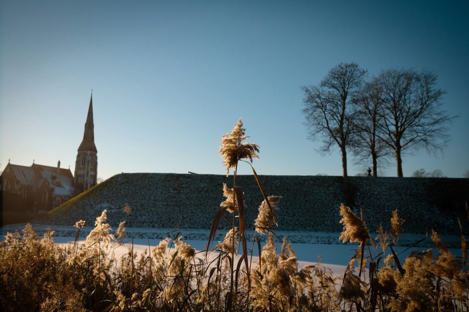 copenhagen