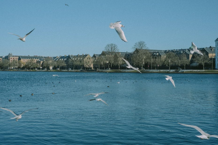 copenhagen