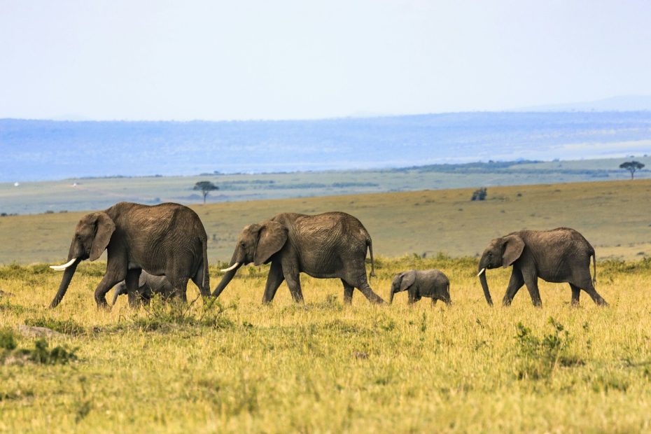 nairobi
