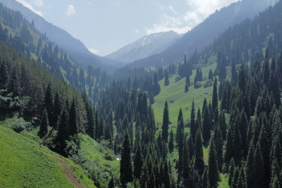 almaty