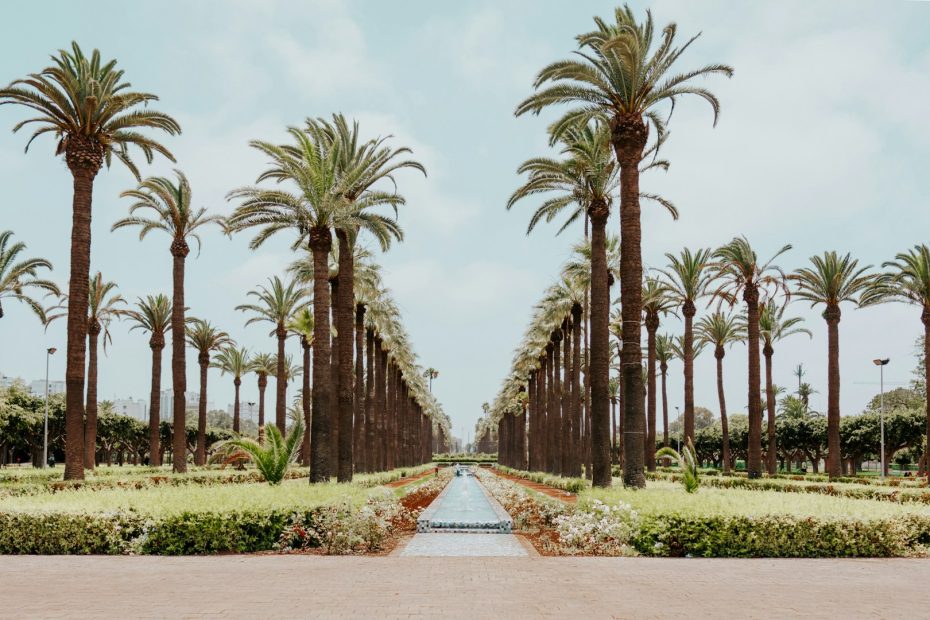 casablanca