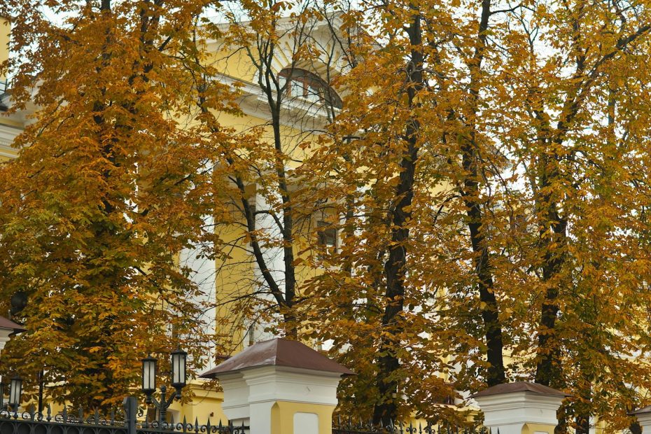 moscow
