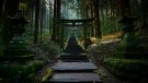 Japan’s Timeless Allure: Blending Ancient Spirit with Future Visions