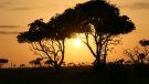 Uganda: The Pearl of Africa’s Untamed Heartbeat – A Journey Through Nature’s Masterpiece